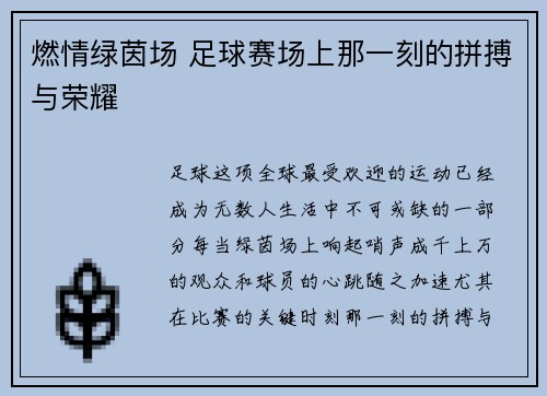 燃情绿茵场 足球赛场上那一刻的拼搏与荣耀