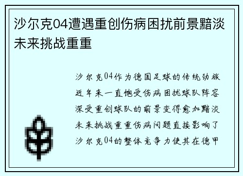 沙尔克04遭遇重创伤病困扰前景黯淡未来挑战重重